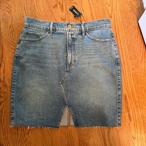 Express Classic Blue Midi Skirt